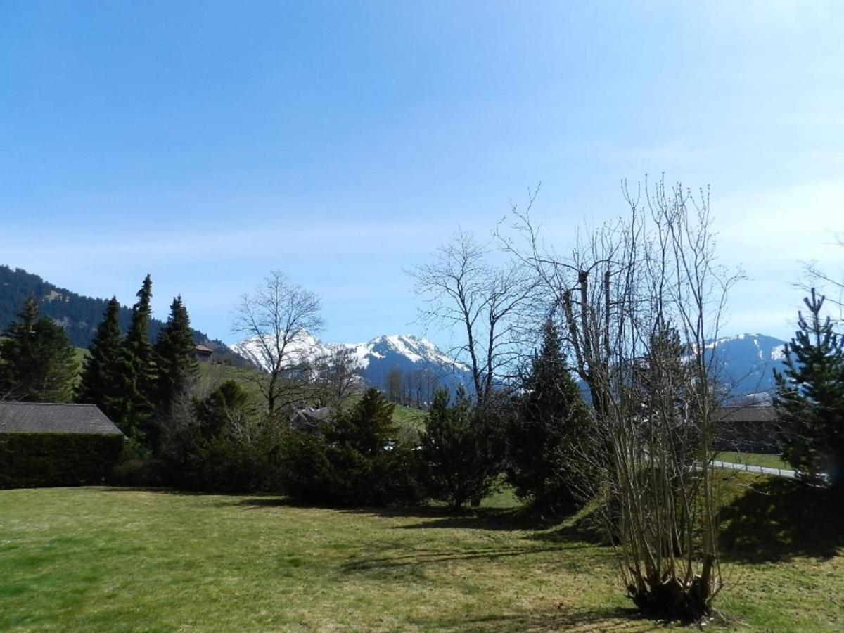 Charly Studio In Gstaad Exterior photo